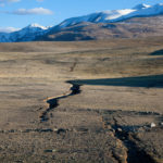 adobestock_99238470-1600x1600